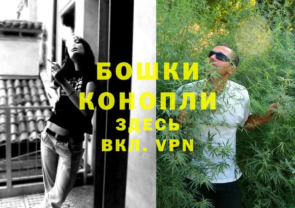 дмт Дмитриев