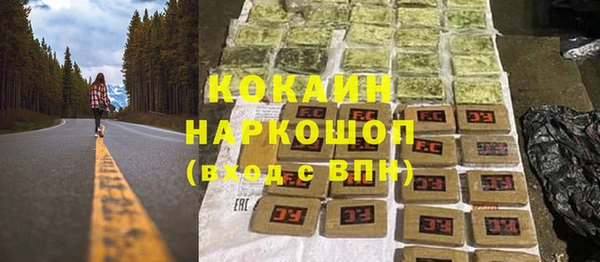 дмт Дмитриев